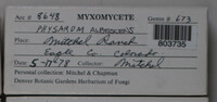 Image Associated With the Occurence